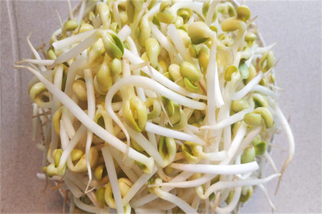 豆芽