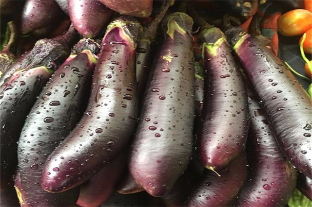 茄子
